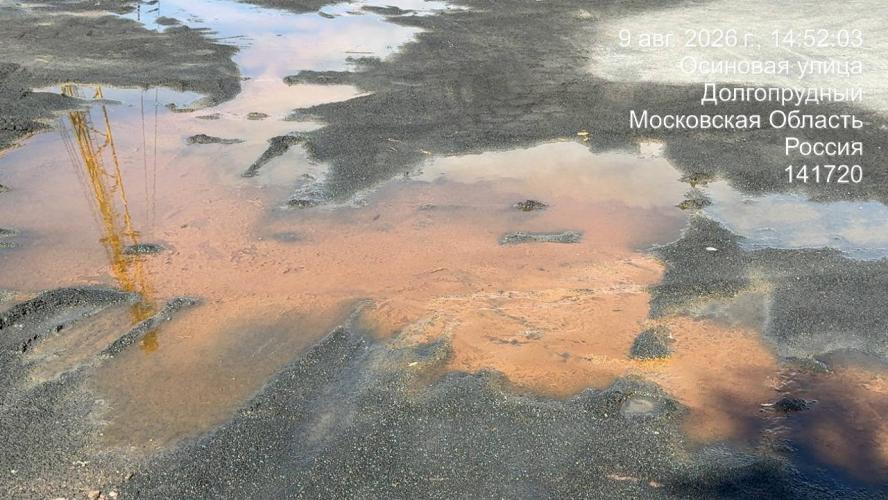 Клязьминское водохранилище оказалось под угрозой из-за критического уровня загрязнения