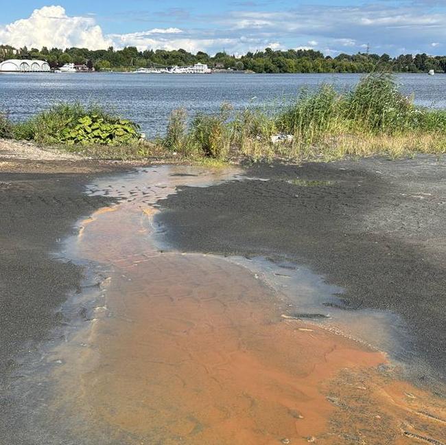 Независимая лаборатория нашла нефтепродукты в Клязьминском водохранилище